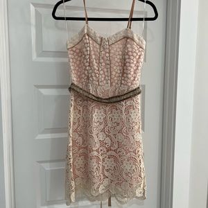 Champagne and Strawberries lace dress